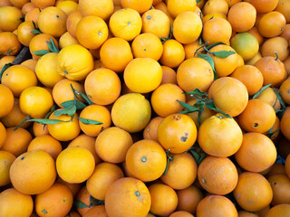 Bulk oranges for sale in the market