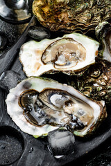 Fresh oysters on a cutting board. 