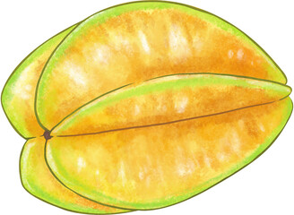 illustration of star fruit 01