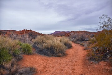 Chuckawalla and Turtle Wall trail desert hiking views Cliffs National Conservation Area Wilderness, Snow Canyon State Park St George, Utah, United States.