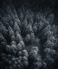 Aerial vertical image of beautiful and peaceful dark forest in winter. Snow covered pine trees in mountain forest with moody atmosphere - photo by drone.
