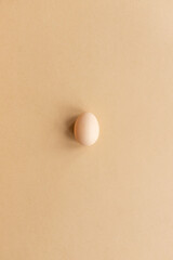 Closeup of free-range organic egg on a neutral background