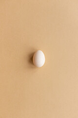 White free-range organic egg on a neutral background