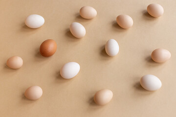 Neutral background of free-range organic eggs