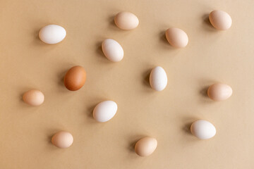Neutral background of free-range organic eggs