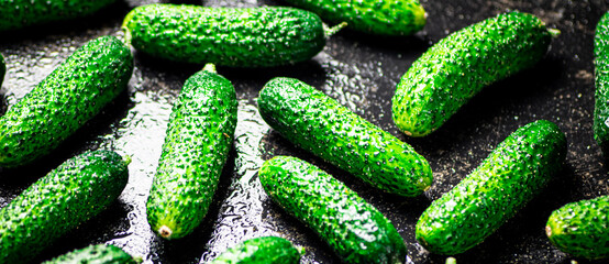 Ripe little cucumbers on the table. 