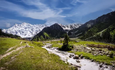 Photo sur Plexiglas Nanga Parbat Trek to the Killer mountain (Nanga Parbat) in the Himalaya range in Pakistan 