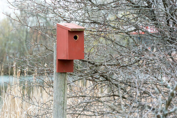Red Wooden Birdhouse By The Pond In Spring