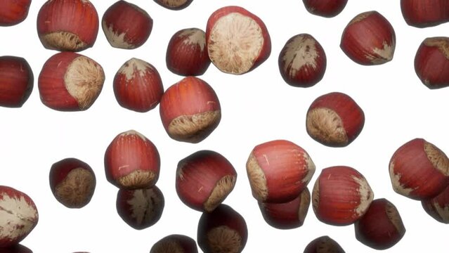 Looping animation featuring a cloud of Hazelnuts falling endlessly on a featureless white background.