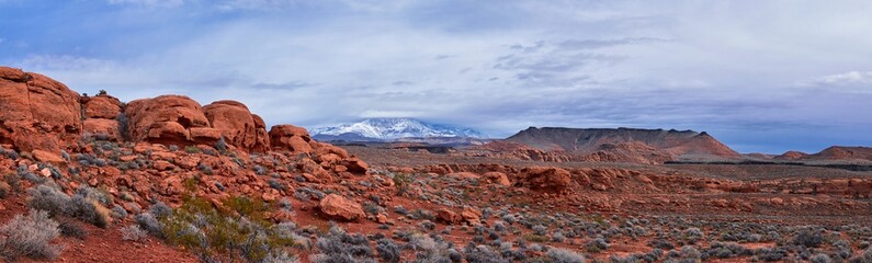 Chuckawalla and Turtle Wall landscape views from trail  Cliffs National Conservation Area...