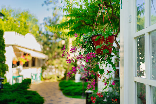 pots with flowers on gazebos in the park. plants for decorating the exterior.
