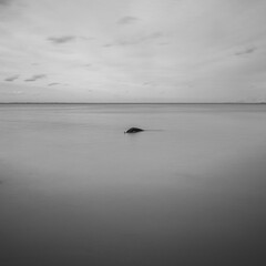 black and white beach scene