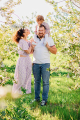 Fototapeta premium a mom and a dad with a baby daughter in a blooming spring garden. happy family. 