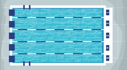 Vector illustration of top view swimming pool. Cartoon swimming pool with numbered lanes, jumps and ladders. - obrazy, fototapety, plakaty
