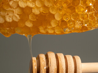 Honey drips from honeycombs onto a wooden honey spoon. Honeycombs on a gray background.