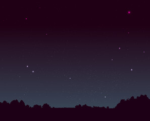 Night landscape with trees and sky. Beautiful glow of the night starry sky, dark forest landscape. Mysterious place. Image for a book. Vector illustration