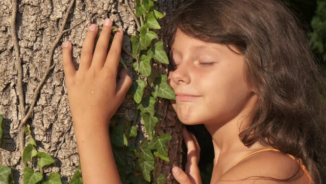 Eco childhood among trees. A little girl touch the tree bark and enjoy the time among trees in the forest.