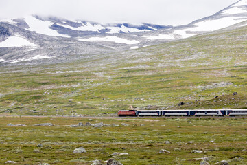 a train travels through the plateau landscape of the Arctic Circle with snow-capped mountains in the background