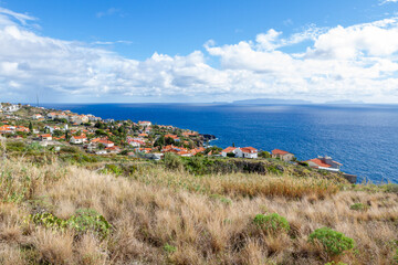 Fototapeta na wymiar meadow at the coast of Island Madeira with view on the ocean