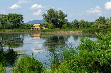 Fototapeta na wymiar Summer landscape on the Tisza backwater, Hungary. Wooden stilt house on the waterfront. Green trees and bushes around the water. Hungarian countryside. Warm weather. Clear blue sky with some clouds.
