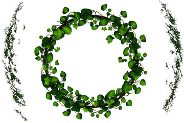  Leaf vine circle isolate on transparent background. AI generated
