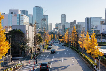 代々木から渋谷方面を望む