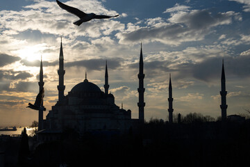 Blue Mosque (Sultanahmet Cami) and Seagull in the Sunset Photo, Sultanahmet District Fatih, Istanbul Turkey