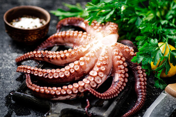 Fototapeta premium Tentacles of a fresh octopus on a cutting board. 