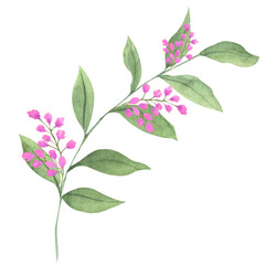 Watercolor composition of leaves and flowers, hand drawn botanical illustration of flowers and leaves in magenta color.. Ideal for wedding cards, prints, patterns, packaging design.