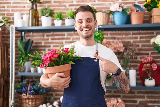 Young hispanic man working at florist shop holding plant pot smiling happy pointing with hand and finger