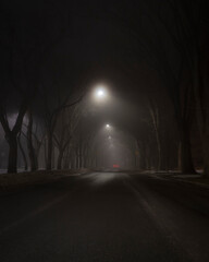Street lights in the fog