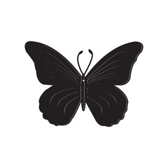 butterfly icon