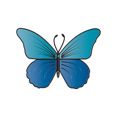 butterfly icon