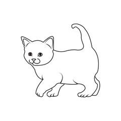 cat icon