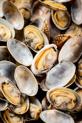 Fresh vongole. Macro background. Texture vongole.