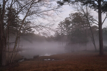 Fototapeta na wymiar Morning fog across the calm pond in the woods