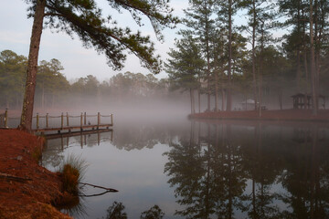 Morning fog across the calm pond in the woods
