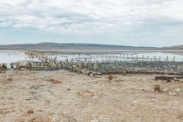 Dirty shore of drought lake . Mud baths lake - obrazy, fototapety, plakaty