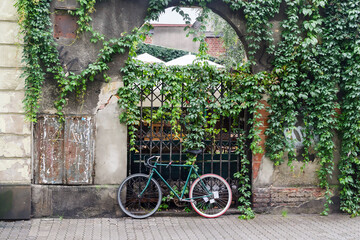 Bike parked in front of a gate overgrown with green leaves, Kazimierz District, Krakow, Poland