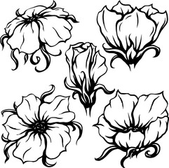 Elegant flower set sketch style. Floral set for decor, tattoo, ornament pattern