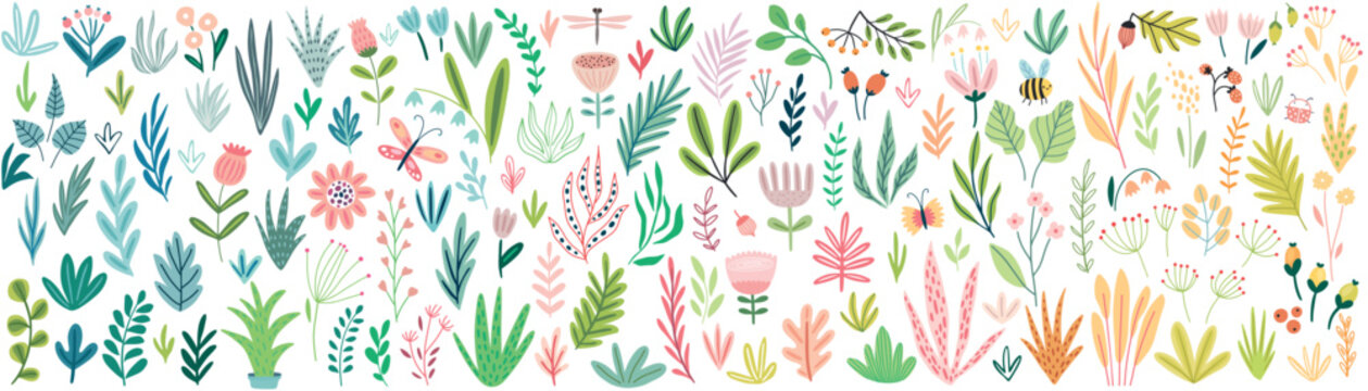 Floral elements big collection - leaves, plants, flowers. Cute hand drawn style.