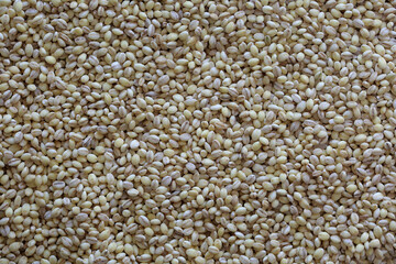 보리 표면 배경