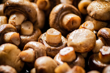 Fragrant fried mushrooms. Macro background. 