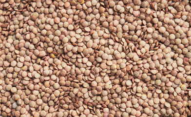 Beautiful lentils image
