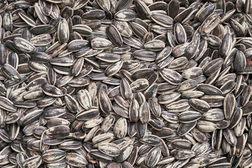 Beautiful sunflower seeds image