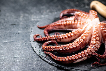 Fresh octopus on a stone board.  © Artem Shadrin