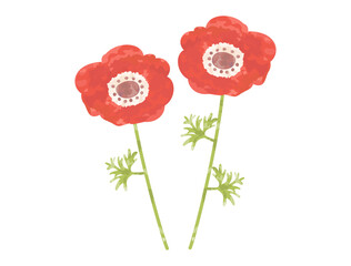 挿し絵などに使いやすい手塗り風のアネモネをイメージしたイラスト