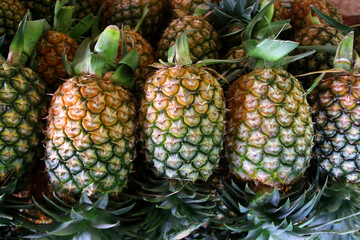 pineapple fruit on market tray
