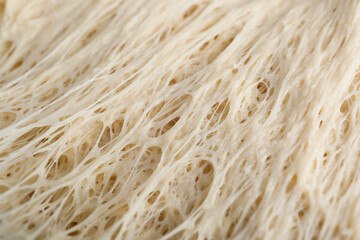 Fresh yeast dough as background, closeup view