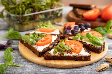 Fototapeta na wymiar Grain rye bread sandwiches with cream cheese, tomatoes and sorrel microgreen on gray. side view, selective focus.